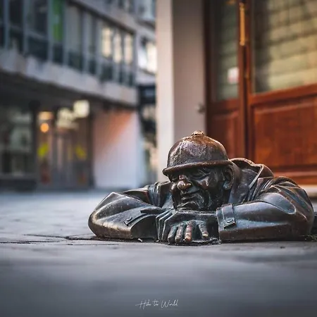 Διαμέρισμα Majestic Views From A 60m2 Private Terrace - Castle, Cathedral, Old Town Μπρατισλάβα